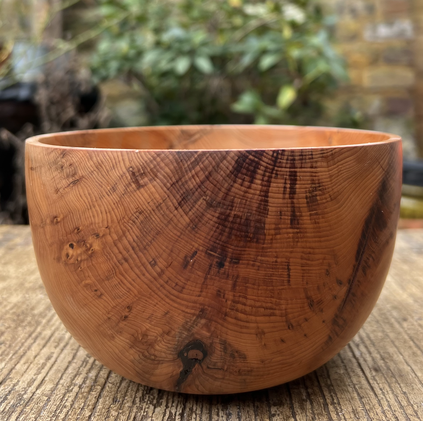 Yew bowl